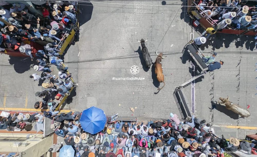 Fortalece Gobierno Municipal organización de la Huamantlada mediante el Comité Taurino Municipal